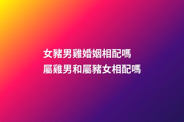 女豬男雞婚姻相配嗎 屬雞男和屬豬女相配嗎-第1張-觀點-玄機派